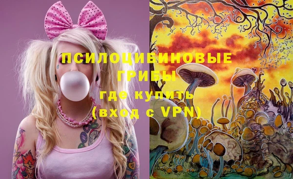 МДМА Приозерск