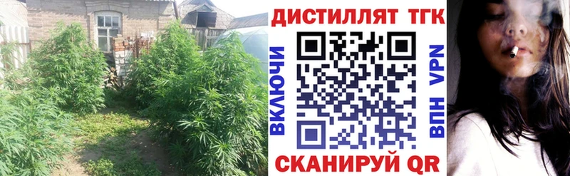 ТГК концентрат  хочу   блэк спрут как войти  Сергач 